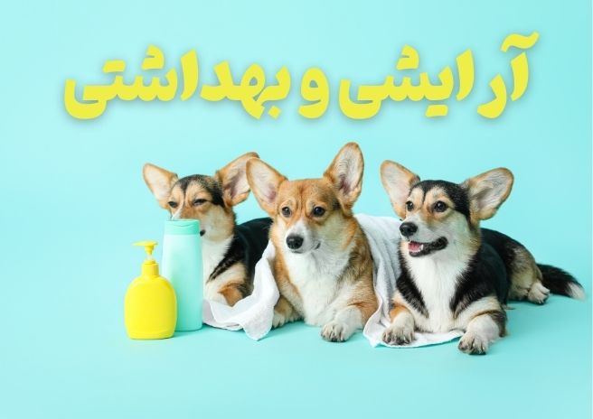 آرایشی و بهداشتی سگ و گربه