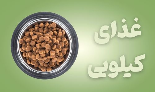 غذای باز گربه و سگ