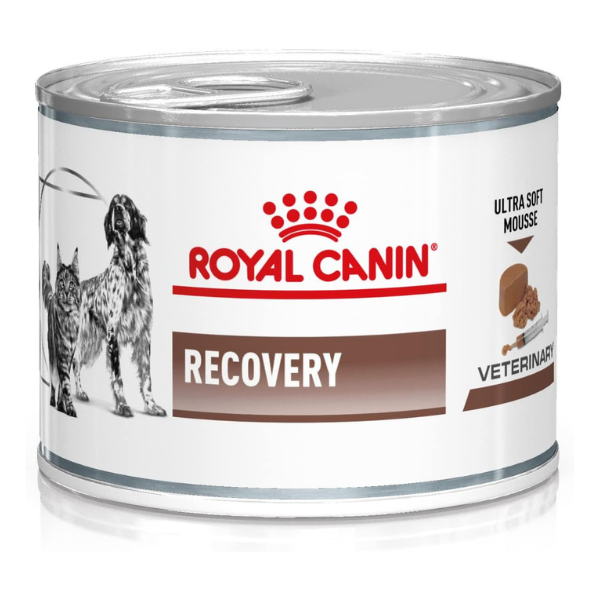 کنسرو رویال کنین ریکاوری