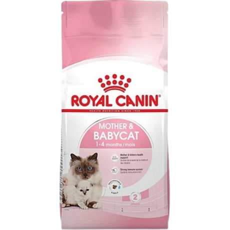 غذای خشک گربه کیتن رویال کنین مدل مادر اند بیبی