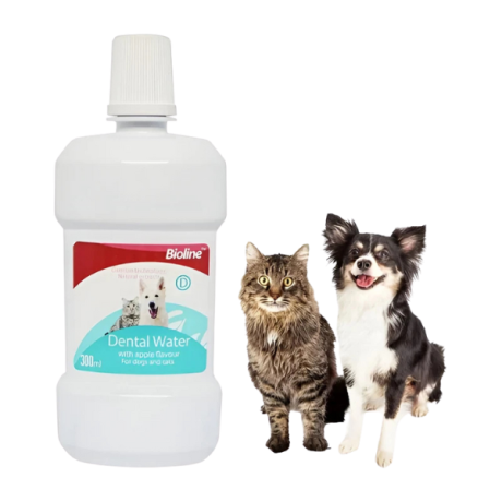 دهانشویه سگ و گربه بایولاین مدل dental water حجم 300 میلی لیتر