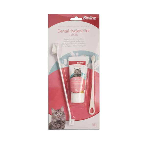 Untitled design - 2025-09-02T145804.374 ست مسواک و خمیر دندان گربه با طعم پنیر بایولاین Bioline dental hygiene set for cats