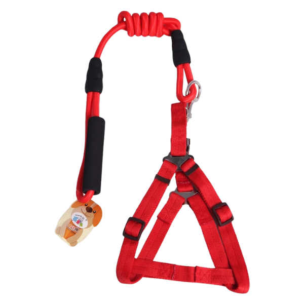 Untitled design - 2025-09-02T150821.909 قلاده کمری دی پی اس گروپ کد B-27 به همراه بند عرض 1 سانتی متر