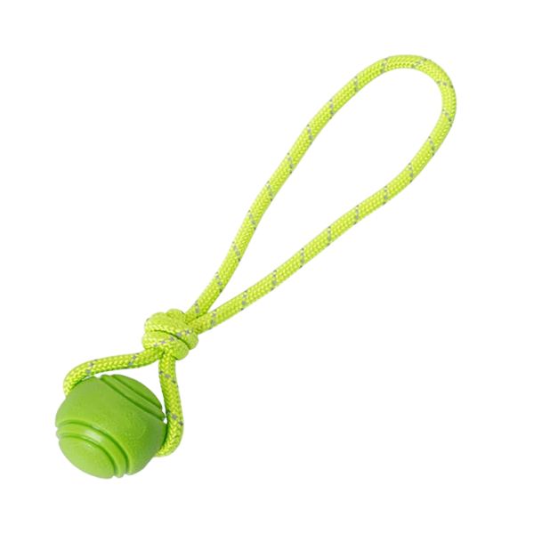 توپ آموزشی سگ بنددار فومی