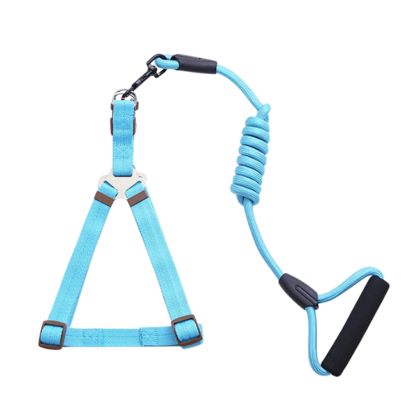 Untitled design - 2025-09-02T151448.771 قلاده کتفی همراه با بند قلاده دسته فوم سایز اسمال