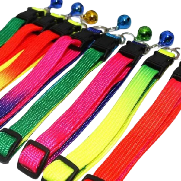 Untitled design - 2025-09-02T154417.579 قلاده گردنی رنگین کمانی گربه و توله سگ نژاد کوچک