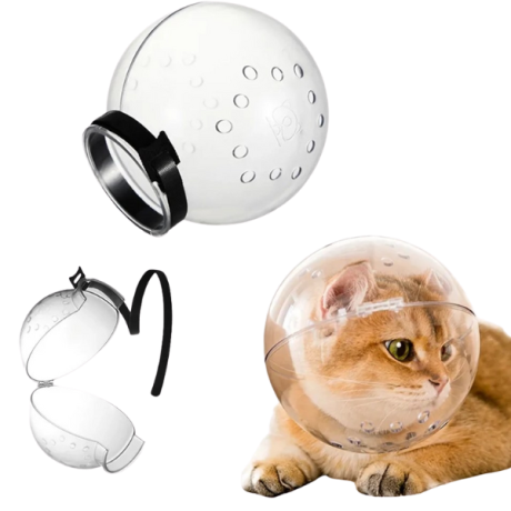 حباب محافظ سر گربه