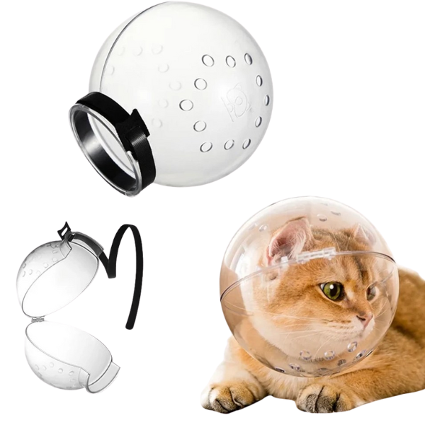 حباب محافظ سر گربه