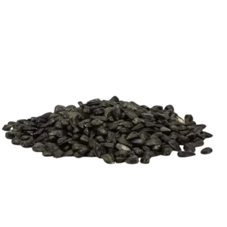 تخمه خارجی-500گرمی