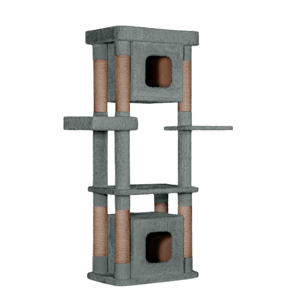 اسکرچر گربه ژوانیت طرح دیدی پلاس