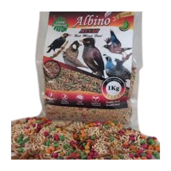 Untitled design - 2025-09-03T154313.295 دان مخصوص مرغ مینابرند(آلبینو)(ALBINO)