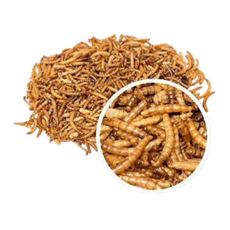 کرم میل ورم 80 گرمی