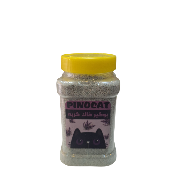 بوگیر لوندر پینوکت