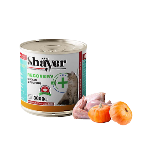 Untitled design (31) ریکاوری-مرغ-و-کدو.jpg