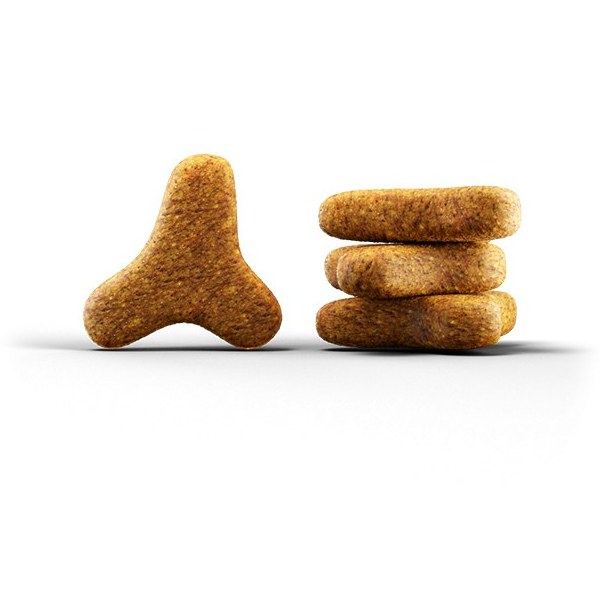 غذای خشک یورینری گربه بالغ جوسرا 2 کیلوگرم– اورجینال1