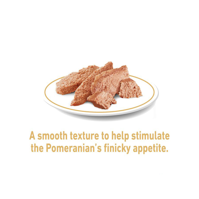 پوچ سگ بالغ پامرانین رویال کنین Royal Canin Adult Pomeranian وزن 85 گرم