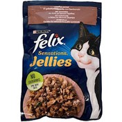 پوچ فیلیکس طعم سالمون ومیگو