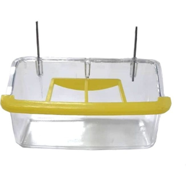 دانخوری کریستالی سیمی