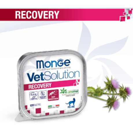 ووم گربه مونژه ریکاوری 100 گرمی