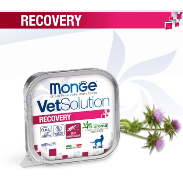 مغازه (1) ووم گربه مونژه ریکاوری 100 گرمی